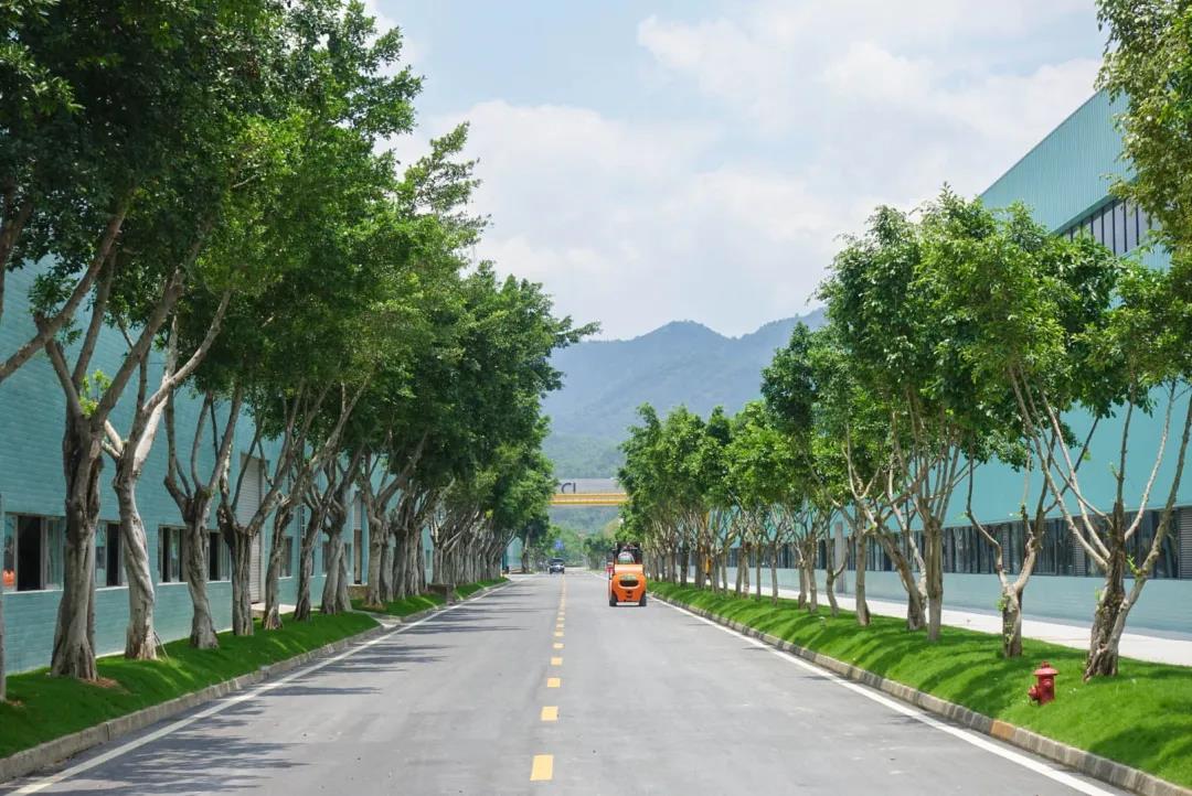 世界环境日专题——绿色新明珠