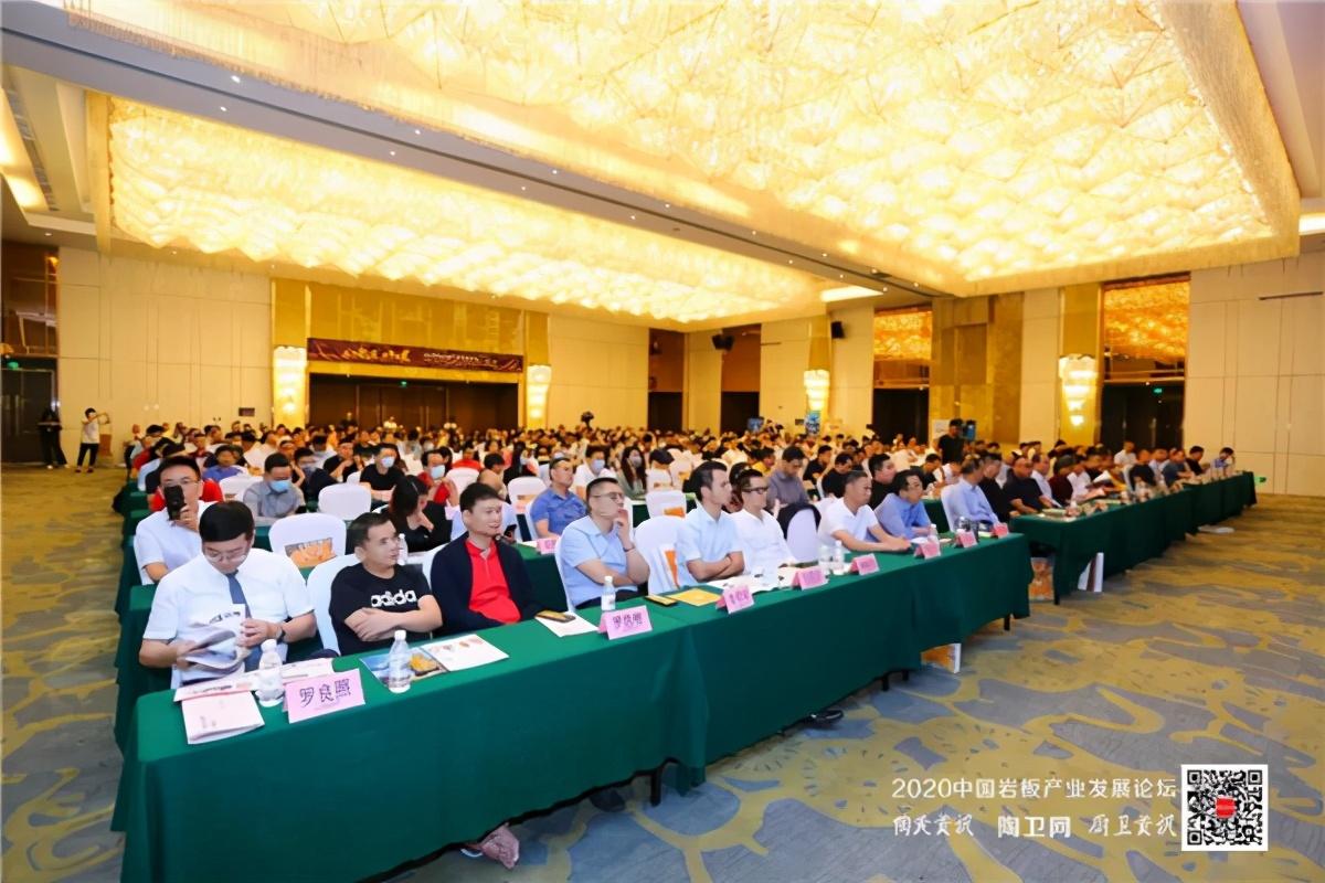 岩板增强剂标杆企业
