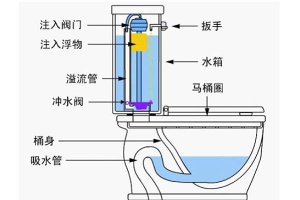 说说陶瓷坐便器的结构特点