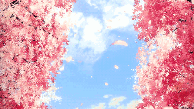 动图.gif