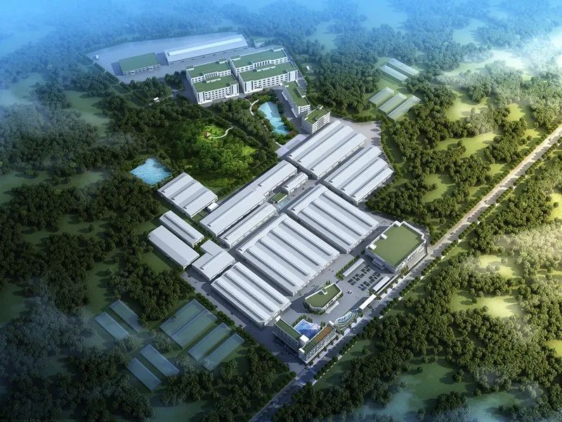 1631256065812422.jpg 4.webp.jpg