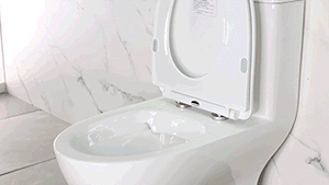 1636439318225177.gif 8-1.gif