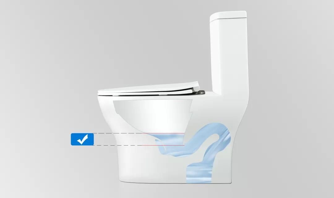 1636439456962122.jpg 12.jpg