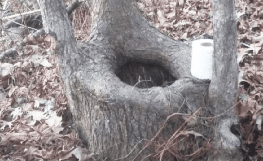 1637656529250708.png 微信图片_20211123163219.png